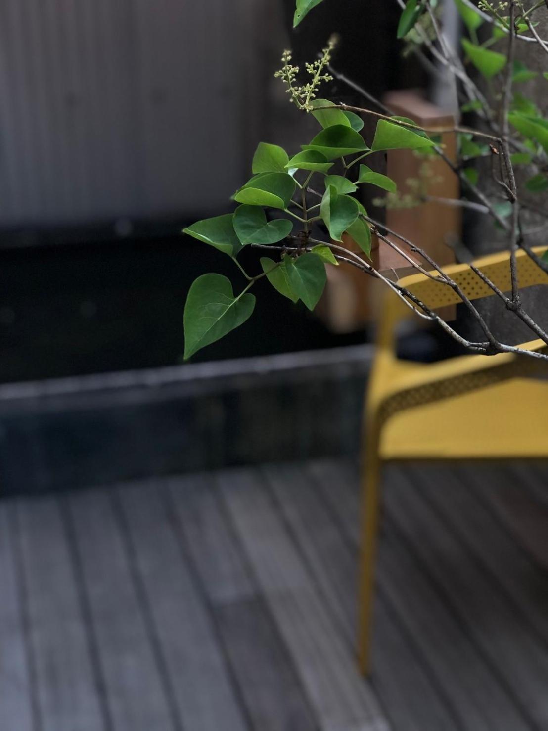 Nisainoyuyado Asahiya Hotel Beppu Bagian luar foto
